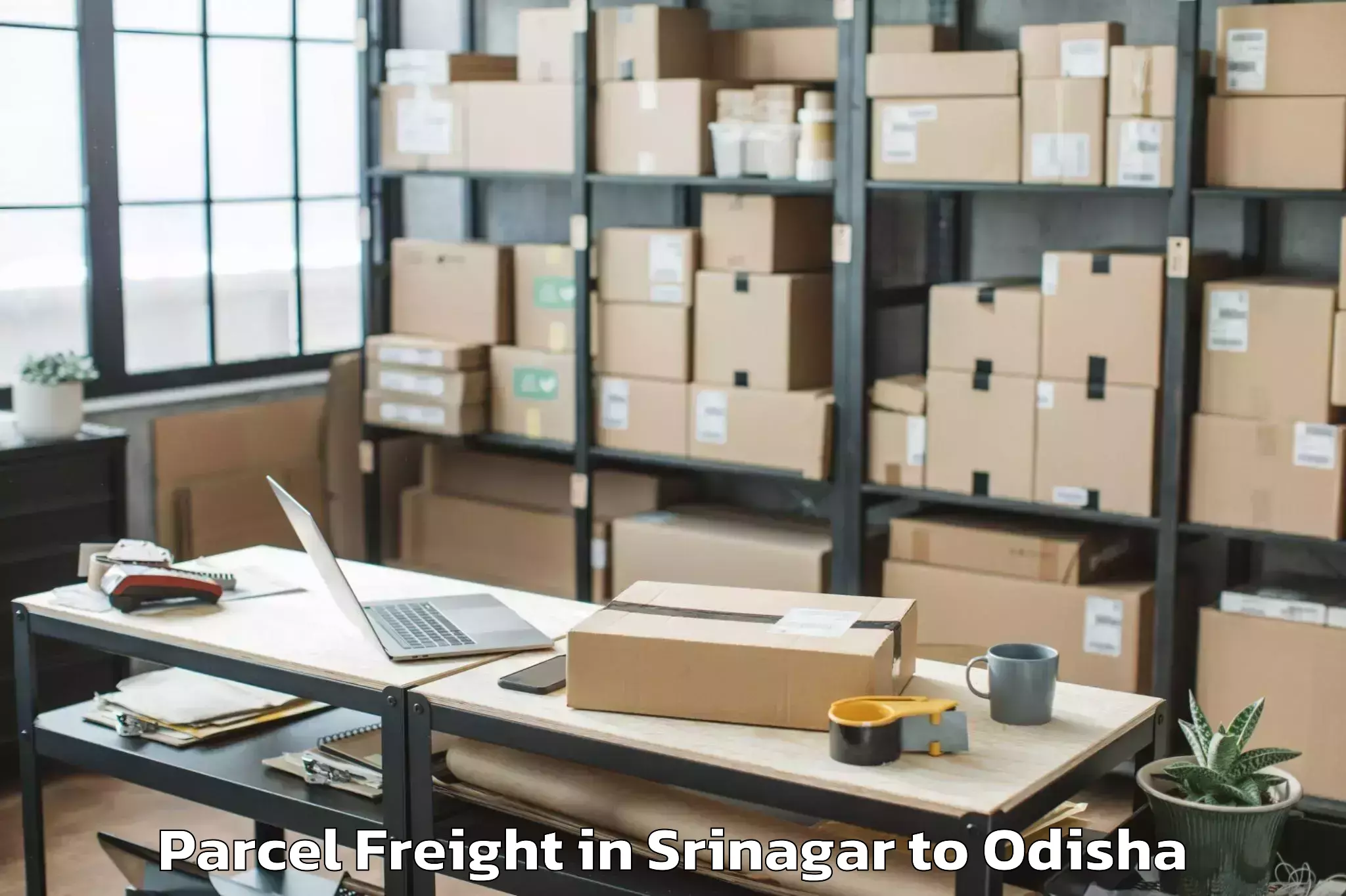 Comprehensive Srinagar to Brajarajnagar Parcel Freight